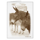 postcard - Original photograph taken at Mule Day in Columbia, TN