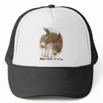 Two Points of View hats