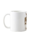 Two Points of View mugs