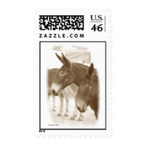 Two Points of View postage
