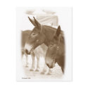 Two Points of View postcards