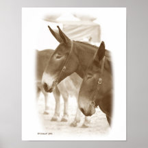 Two Points of View Posters