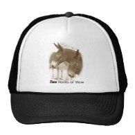 Two Points of View Trucker Hats