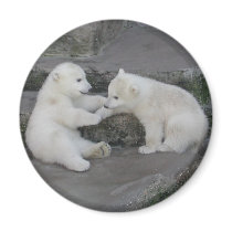 Two Polar bear cubs Refrigerator Magnet