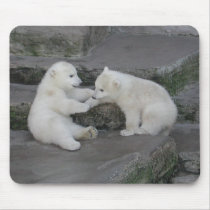 Two Polar bear cubs Mousepad