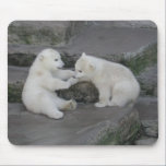Two Polar bear cubs mousepads