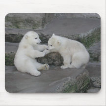 Two Polar bear cubs Mousepad