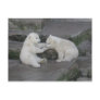 Two Polar bear cubs Post Cards