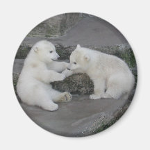 Two Polar bear cubs Refrigerator Magnet