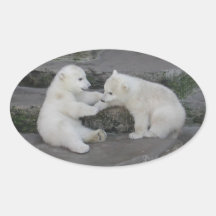 Two Polar bear cubs Stickers
