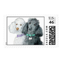 Two Poodles Postage Stamps