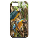 Two Pretty Birds iPhone 5 Cover