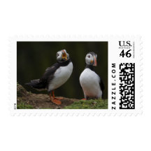 Two Puffins Stamp