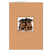 Two Puppies cards