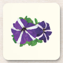 Two Purple and White Petunias cork coasters