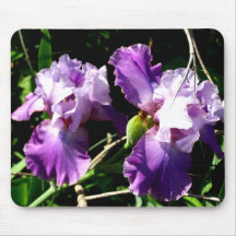 Two Purple Iris Flowers Mouse Pad
