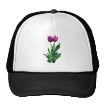Two Purple Tulips Mesh Hats