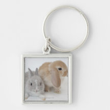 Two rabbits.Netherland Dwarf and Holland Lop. Keychains