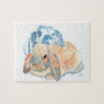 Two Rabbits Puzzles