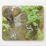 Two racoons Mousepad