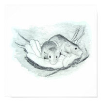 Two rats in the hand posters