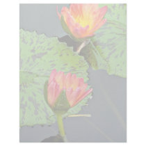 Two red and yellow water lilies  flowers letterhead