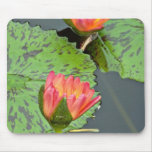 Two red and yellow water lilies  flowers mousepads