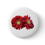 Two Red Daisies Pins