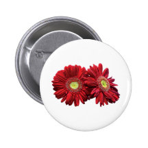 Two Red Daisies Pins