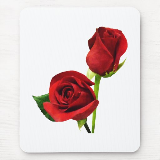 Two Red Roses Mouse Pads