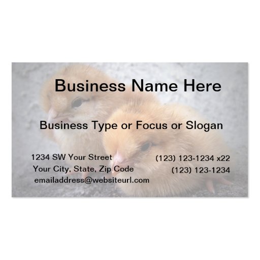 two rhode island red chicks photo vignette business card template (front side)