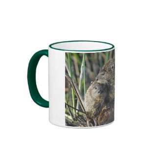 Two River Otters mug