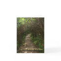 Two roads diverged in a wood summer notecard