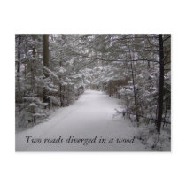 Two roads diverged in a wood winter postcard