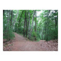 Two Roads Diverged In A Yellow Wood posters