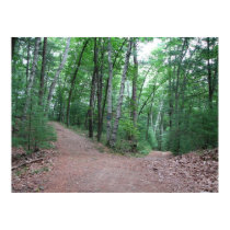 Two Roads Diverged In A Yellow Wood posters by Tessie23 Two Roads Diverged In A Yellow Wood posters