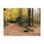 Two Roads Diverged Postcards