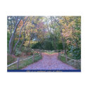 Two Roads postcards