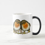 two robins coffee mugs