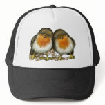 two robins hats