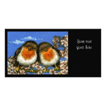 Two robins photo cards