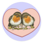 Two robins stickers
