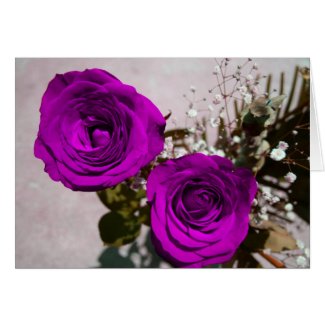 Two roses coloured purple with stems card
