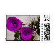 Two roses coloured purple with stems stamp