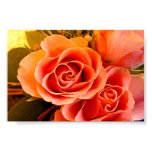 Two Roses