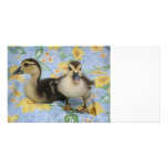 two rouen ducklings against flowered background personalized photo card