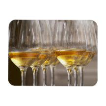 two rows of wine tasting glasses with lucious rectangular magnet