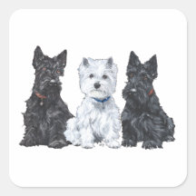 Two Scotties and a Westie Stickers