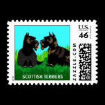"Two Scotties" Postage Stamp