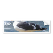 Two Seagulls bumper stickers by lifesphere Two Seagulls bumper stickers
